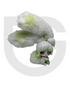 Kabu Rabbit Fantastic Fruit Series