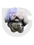 Shinwoo Rag Bear Clinic Plush Pendant