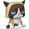 Funko Pop Icons Grumpy Cat 60